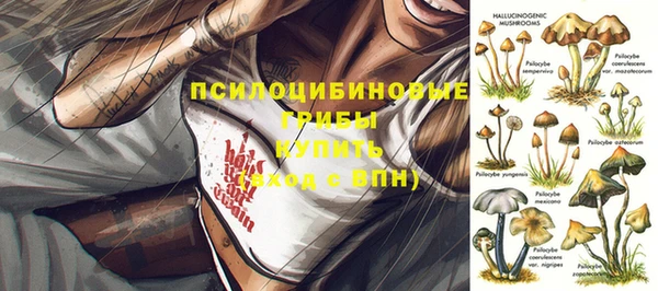 мет Богданович