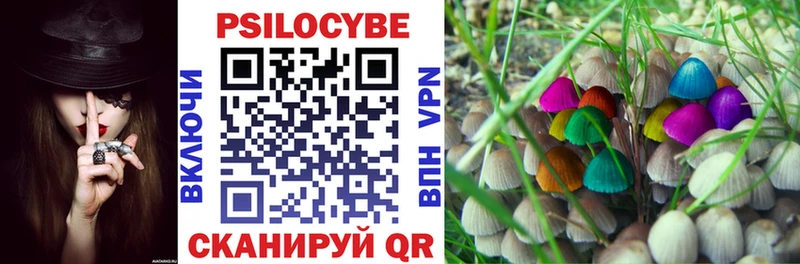 Купить закладки  Краснозаводск  Галлюциногенные грибы мухоморы 